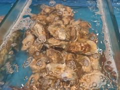 -火舞泰·泰式海鲜火锅餐厅(世纪城店)