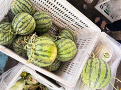 -上海龙吴水胜海发市场