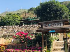 -青青世界