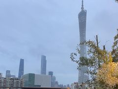 -小茶闲舍·观景商务茶馆(广州塔店)
