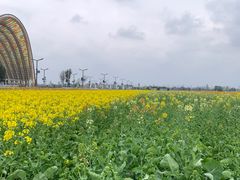 -中国天府农业博览园