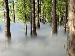 -东湖落雁景区