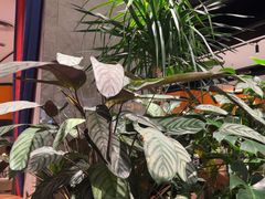 -半秋山西餐厅(巴南万达广场店)