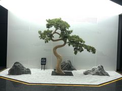 -珍之宝御品·寻味顺德(容桂渔人码头店)