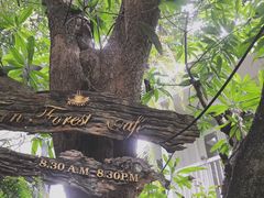 -Fern Forest Cafe