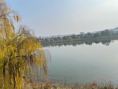 -黎阳老街