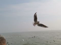 -深圳湾公园(南山区)