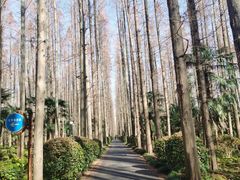 -上海怡沁园度假酒店