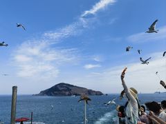 -海驴岛(荣成市)