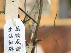 -漫香咖啡·云南小粒咖啡