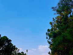 -同济大学(嘉定校区)