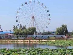 -蒲河岛湿地公园