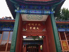 -大明幻境第一城