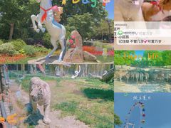 -上海野生动物园