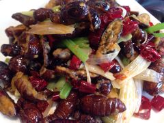 茧蛹-王记酱骨头馆(经纬路店)