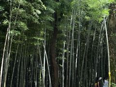 -西湖风景区十里琅珰-五云山