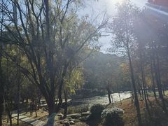 -宝界山林公园