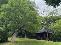 -堤角公园