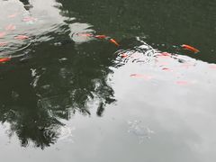 -宁波市保国寺古建筑博物馆