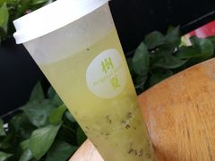 -树夏(鹭洲里店)
