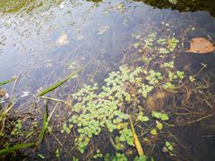 -白河湾生态旅游一条川
