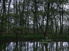 -西溪南古村落景区