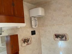 -金山农民画村-枫泾波兰倒置屋