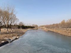 -大兴滨河森林公园