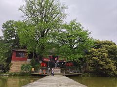 -佛荫寺