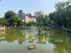 -碧江金楼