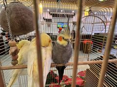 -潇湘·永州会馆(百子湾店)