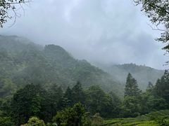 -姑婆山旅游区