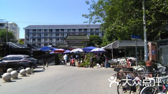 五角场花鸟市场图片 - 第21张