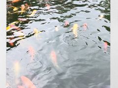 -成都动物园