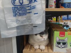 -佑安动物医院·全科·内窥镜中心(幸福巷店)