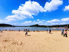 -上海月湖雕塑公园