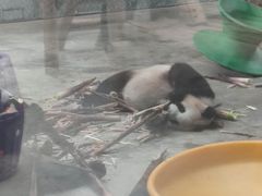 -西安秦岭野生动物园