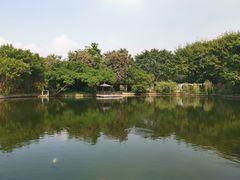 -东莞市可园博物馆