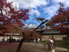 -醍醐寺