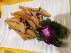 -黄B湛江鸡饭店(粤垦路店)