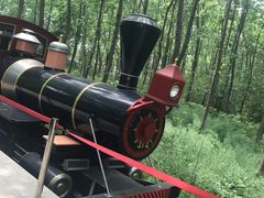 -合肥滨湖国家森林公园