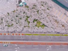 -龙美术馆西岸馆-停车场