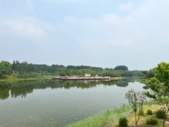 -东郊湿地公园