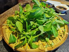 有机蔬菜-大匠工房古船木艺术餐厅·猪肚鸡专门店(长白仙岛店)