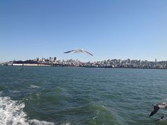 -阿尔卡特拉斯岛