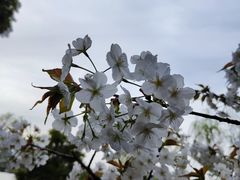 -黄兴公园