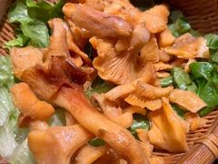 -滇野云南野生菌餐厅(陕西南路店)