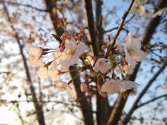 -龙美术馆(西岸馆)