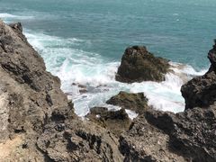 -龙坑生态保护区