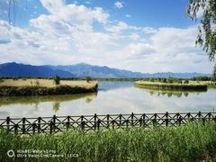 -野鸭湖国家湿地公园
